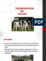 Protocolos Ia I PDF