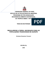 Tese_RegularizarTerraDesafio.pdf