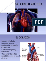 Sistema Circulatorio