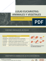 Células Eucariotas