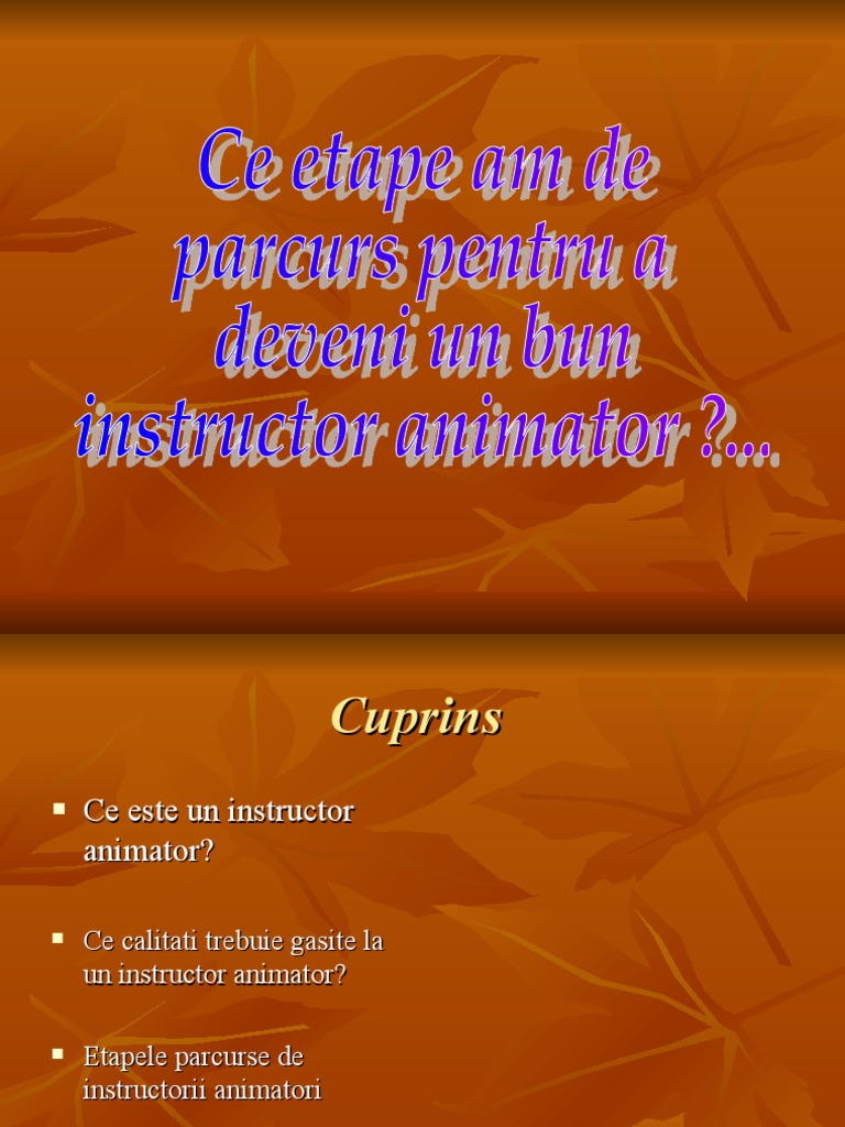 Instructor Animator | PDF