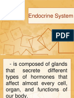 2620 Endocrine System