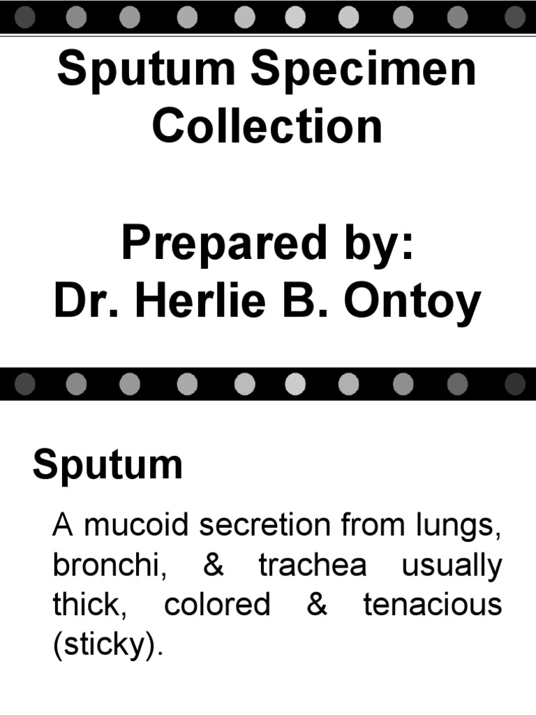 Sputum Specimen Collection PDF Pneumonia Mucus