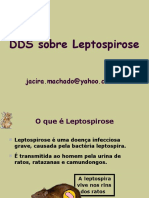 dds-sobre-leptospirose.ppt