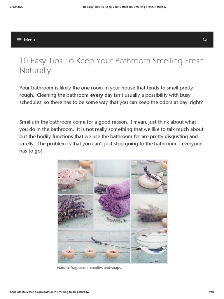 10 Easy Tips To Keep Your Bathroom Smelling Fresh Naturally PDF