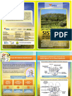 Sistemas Agroflorestais no Semiárido Brasileiro.pdf