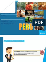 Percepción e Identidad de La Sociedad Peruana