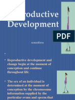 Reproductive Development.pptx