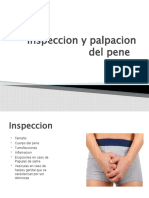 Inspeccion y Palpacion Del Pene