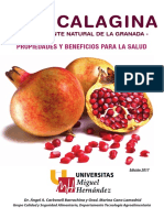 Libro - Punicalagina - Antioxidante Natural de La Granada