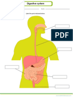 G2digestive System PDF