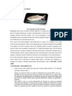 Tarea N°1 Un Caso de Acuicultura PDF