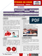 SEMANA 11 - LA ANEMIA (2do CIENCIA Y TECNOLOGÍA)