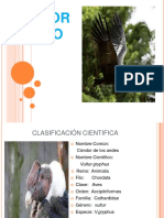 Mafer Cóndor Andino PDF