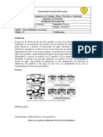 4 - Imbibicion y Su Proceso