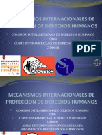 MECANISMOS-DE-PROTECCION-INTER.-DDHH.