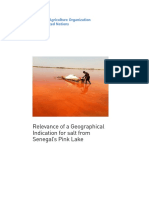 Relevance of A Geographical Indication For Salt From Senegal's Pink Lake