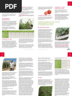 Seminis_Tomato_Leaflet_Growing-Technology_RU