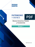 BienesDerechosRealesSucesiones Ant B1 C PDF