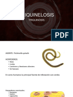 TRIQUINELOSIS.pdf