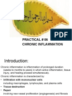 Exp - No 6 Chronic Inflammation