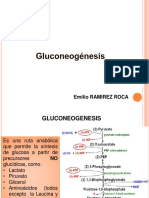 Clase 4. Gluconeogeogenesis PDF