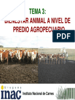 Tema 3 - Bienestar Animal en P A