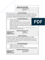Manual de Funciones.docx
