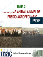 tema_3_-_bienestar_animal_en_p_a.pdf