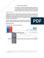 Tutorial Informe de Causas Asignadas.pdf
