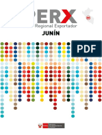 PERX_JUNIN-2