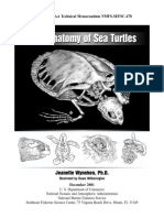 Antomy of Sea Turtles PDF