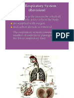 The Respiratory System: Gas Exchange and Control