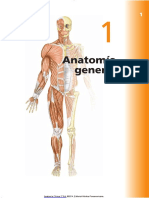 ANATOMÍA.pdf