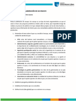 D. Formato de Ensayo y Rubrica PDF