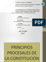 Principios Procesales-Tgp - Recalde