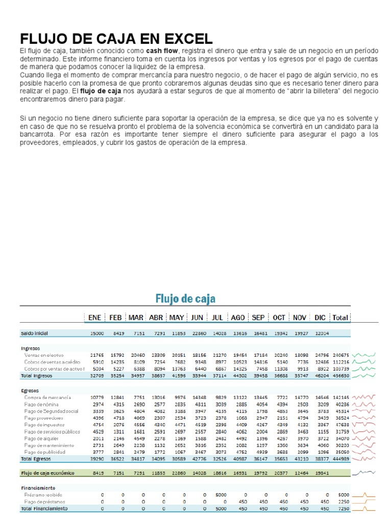 Ejemplo de Flujo de Caja en Excel | PDF | Flujo de efectivo | Dinero