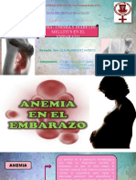 Anemia en El Embarazo Terminado