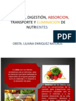 Clase N°02-Ingestión, Digestión, Absorcion, Transporte y Eliminacion