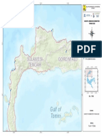 Survey bridge report Palu 2020