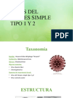 Virus Del Herpes Simple Tipo 1 y 2