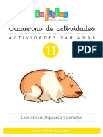 011av-Variadas Lateralidad Vol 11 PDF