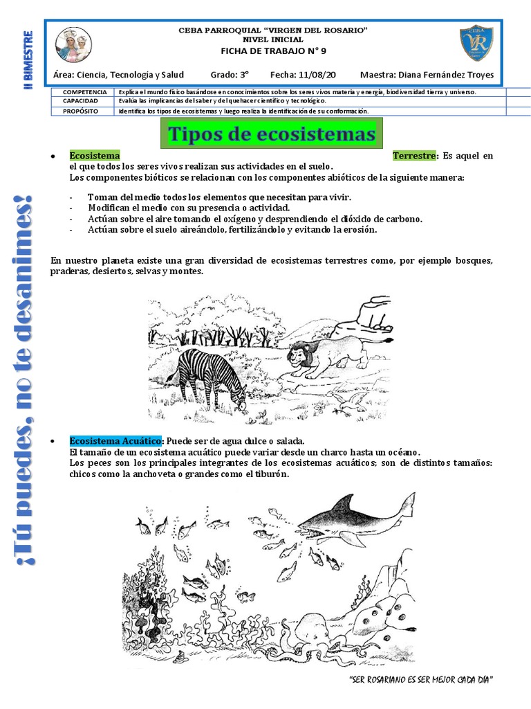 Actividades sobre Tipos de Ecosistemas | PDF | Ecosistema | Suelo