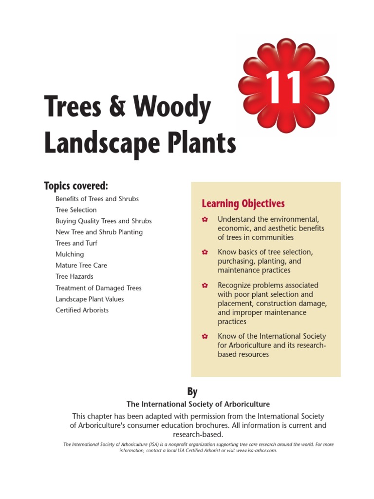 Benefits and Care of Community Trees | PDF | Trees | Mulch