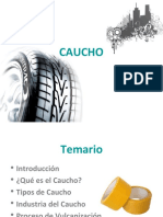 caucho-1223862003917644-9
