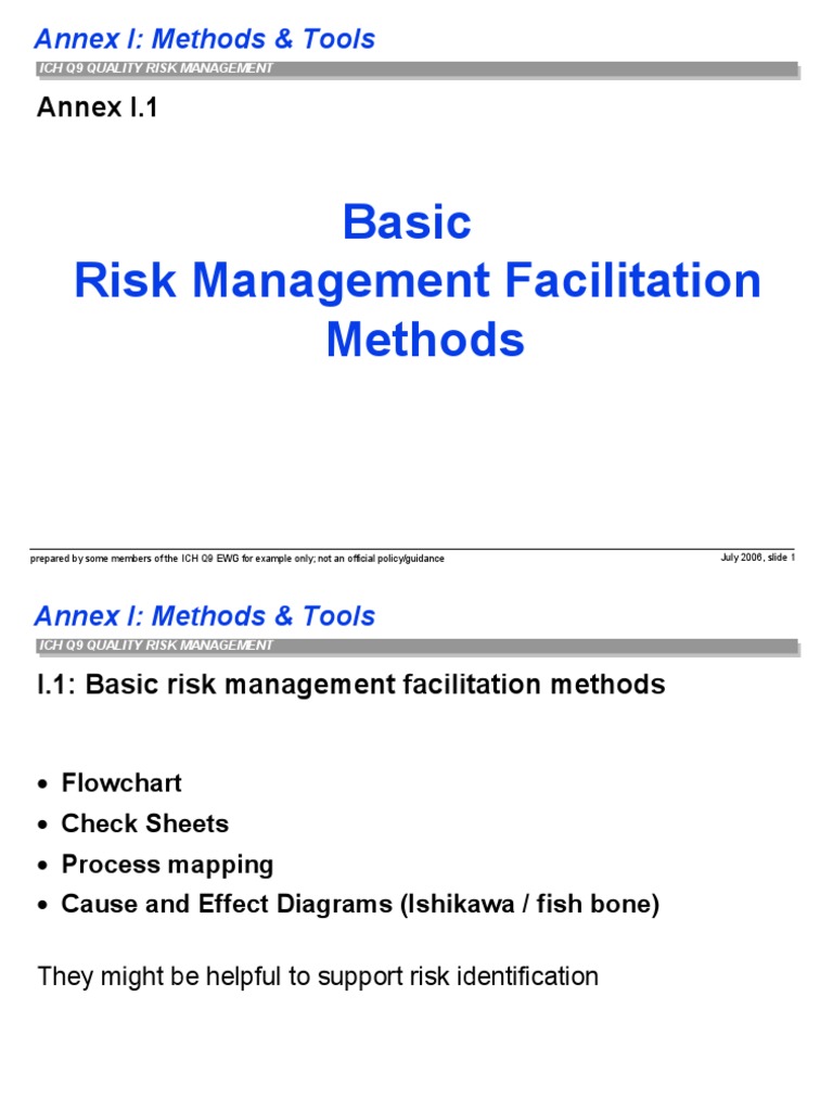 Basic Risk Management Facilitation Methods: Annex I.1 | PDF | Risk ...