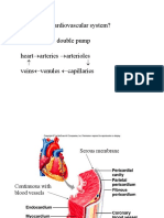 What Is The Cardiovascular System? The Heart Is A Double Pump Heart Arteries Arterioles Veins Venules Capillaries