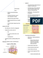 The Anatomy and Functions of Human Skin