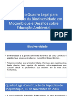 Analise Do Quadro Legal de Conservacao em Mocambique