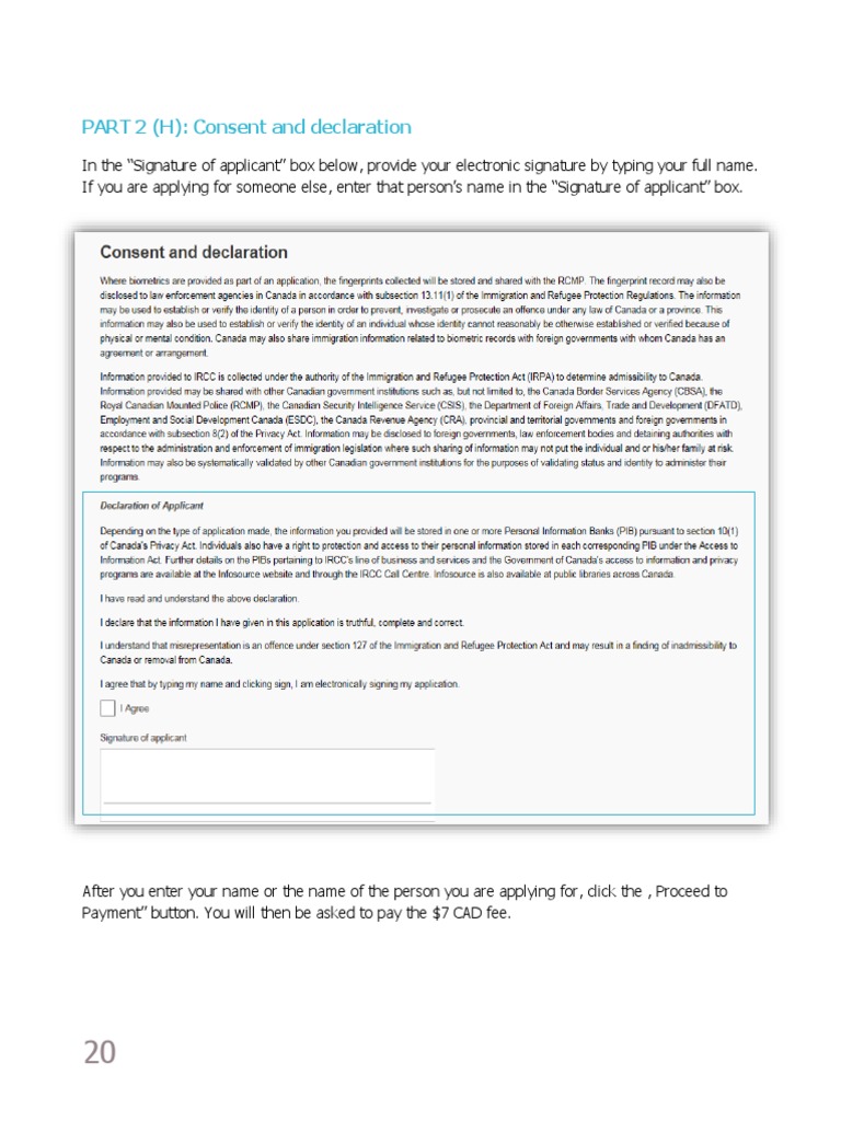 Consent and Declaration Process | PDF